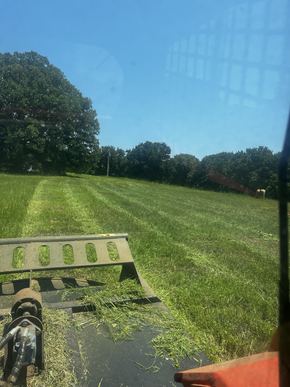 Brush hogging and property maintenance