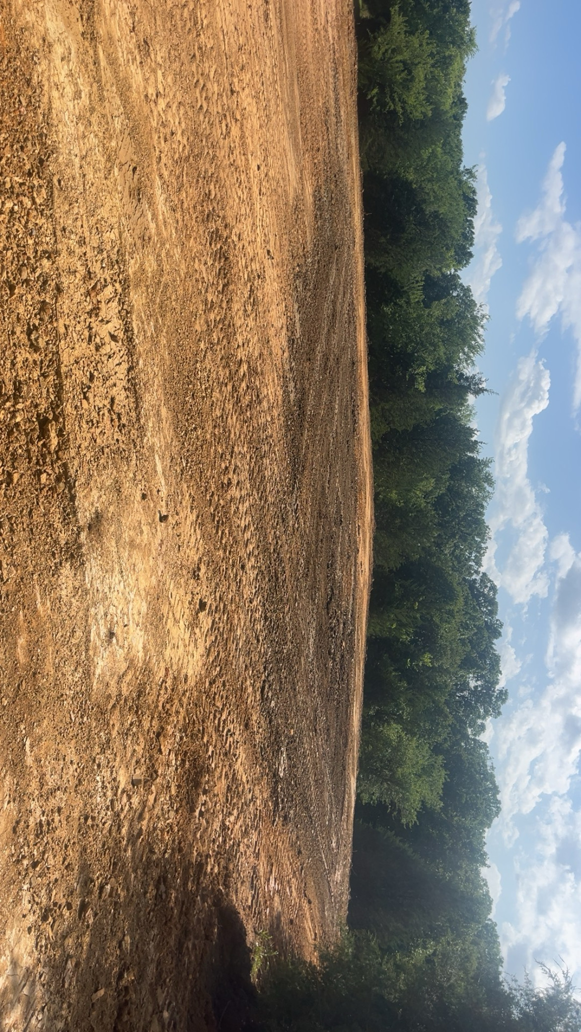 Large dirt site prepared and graded