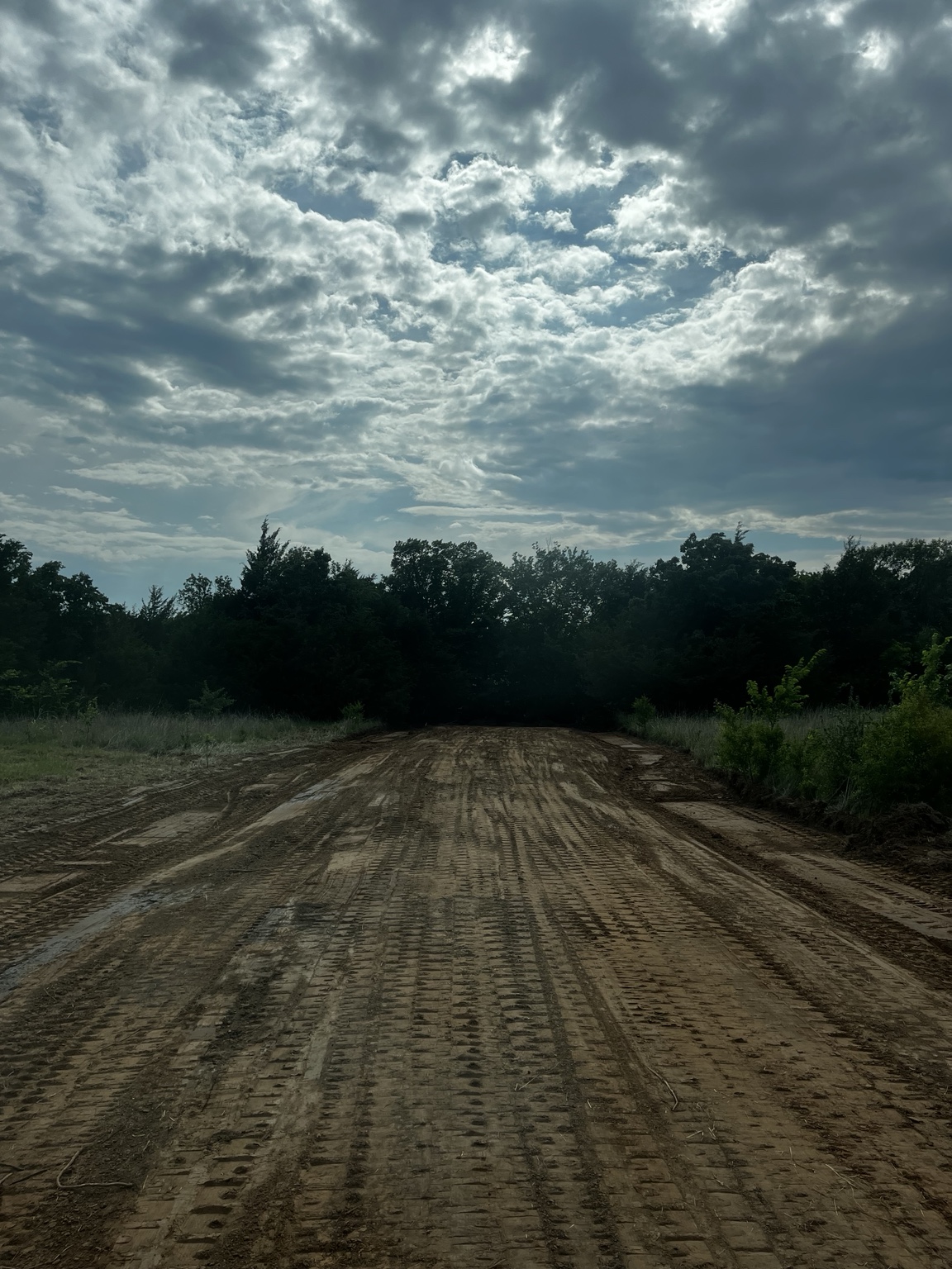 Fresh dirt work and grading